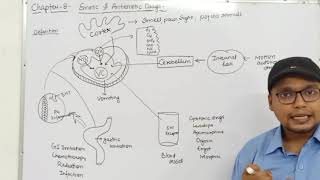 Emetics amp Antiemetics Drugs Physiology of Vomiting Classification  Ch8 Unit1 PharmacologyIII [upl. by Jalbert]