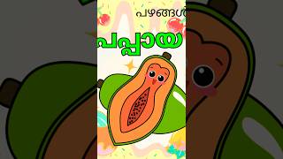 Fruits names in Malayalamപഴങ്ങളുടെ പേരുകൾ മലയാളത്തിൽpazhangalude perukal malayalathil [upl. by Avuha]