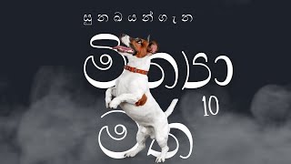 Top 10 Myths About Dogs Sinhala  සුනඛයන් ගැන මිත්‍යා මත 10 [upl. by Sualkcin]