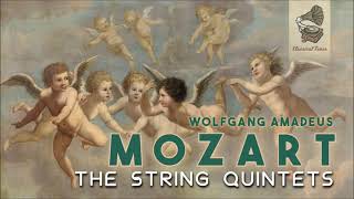 Mozart  The String Quintets [upl. by Nwadal]