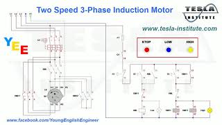 Two Speed 3Phase Induction Motor [upl. by Searcy410]