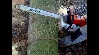 motosega stihl ms880 in taglio pioppo [upl. by Vahe]