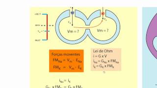 Biofísica de Membranas  Aula 18  Bioeletrogenese 3 [upl. by Gherardo]