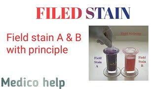 Field stain AampB procedure  gram staining [upl. by Volnak675]