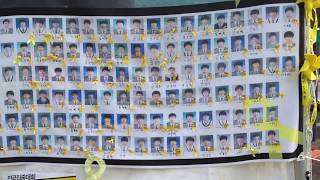 세월호의 단원고 희생자들 victims of Sewol ferry disaster [upl. by Kaycee]