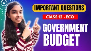 Government Budget  Important Questions  Class 12  Economics  Boards 2024 [upl. by Cloutman890]