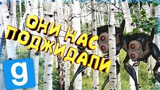 Они нас поджидали  Garrys mod  Белая Роща HL2RP За фримэном [upl. by Adirf]