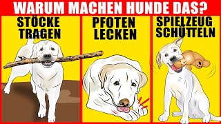 9 Seltsame Hundeverhaltensweisen erklärt [upl. by Rodnas]