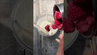 VEGAN RASPBERRY YOGURT BARK 😍 shorts food recipe reels [upl. by Nonad708]