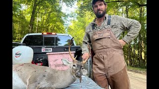 DEER HUNTING WITH DOGS REDEMPTION BUCK DOWN IN THE SWAMP [upl. by Alicirp]