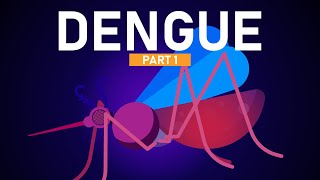 Dengue Explained in 5 Minutes [upl. by Ahtelrac]