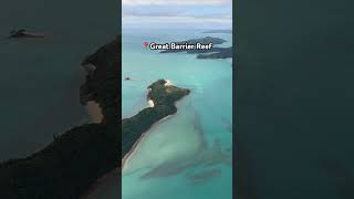 Explore the GREAT BARRIER REEF Like Never Before travel australia shorts short shortvideo [upl. by Edgardo409]