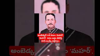 Dr అంబెడ్కర్ మహర్ కులానికి చెందినవారు కానీ మహర్ అంటే అర్థం తెలిస్తే గూస్ బంప్స్ వస్తాయిshorts [upl. by Findlay]