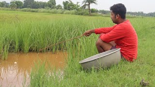 Fishing Video  Amazing hook fishing with beautiful nature  Fish catching trap [upl. by Arlette368]