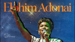 Elohim Adonai  Pastor Toluwani Odukoya  Live Worship [upl. by Iverson683]