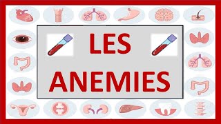 🔴 hématologie  LES ANEMIES feriprives megaloblastiques  les thalassemies [upl. by Lytsyrk]