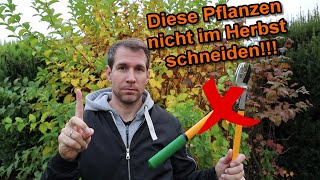 Pflanzen amp Gehölze die man im Herbst 𝐧𝐢𝐜𝐡𝐭 schneiden sollte [upl. by Saba304]