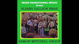 Eamon Mitchell Group  Irish Traditional Reels amp Jigs From Ireland irishtraditionalmusic [upl. by Miah760]