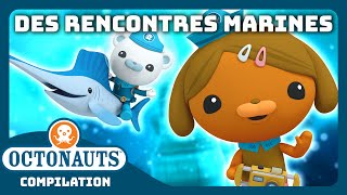 Octonauts  💦 Des rencontres marines ÉCLABOUSSANTES 🦑  Compilation  Dessins animés pour enfants [upl. by Leizo]