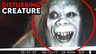 Most Shocking Camping Encounters Ever Caught on Camera [upl. by Hemminger]