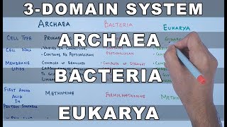 Archaea  Bacteria  Eukarya [upl. by Anivad]