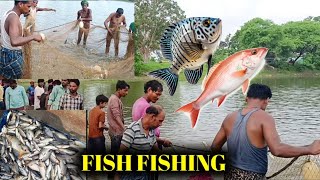 Amazing Treditional Fishing By Village People ।। Best Net Fishing।। Village Fishing।।cg [upl. by Annaiv503]