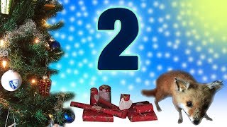 2 Türchen  Adventskalender 2017 [upl. by Barbe]