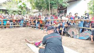 Live Babak Dadi Jathilan Rias Turonggo Mudho Sumber Batikan [upl. by Adiene338]