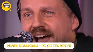 PAWEŁ DOMAGAŁA  PO CO TEN KRZYK  Dzień Dobry TVN [upl. by Ettelegna]