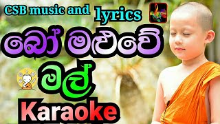 Bo Maluwe Mal KaraokeWithout Voiceබෝ මළුවේ මල් KaraokeCSB Music And LyricsSanath Nandasiri [upl. by Eissat]