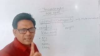 tricarboxylic acid cycle class 10 science chapter 2 life processes in living organisms part 1 [upl. by Kiker]