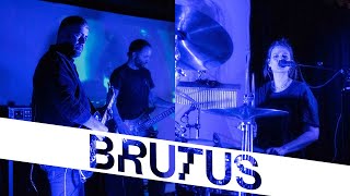 Brutus — A Forest The Cure cover  StuBru LIVE LIVE  Studio Brussel [upl. by Aneladdam807]