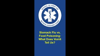 Stomach Flu Vs Food Poisoning What Does Vomit Tell Us [upl. by Eybbob917]