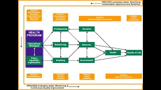 PRECEDEPROCEED Model [upl. by Reichel]