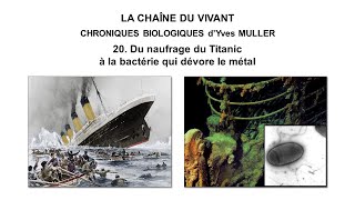 20 Du naufrage du Titanic à la bactérie qui dévore le métal [upl. by Macmillan]