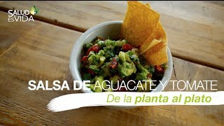 Salsa de aguacate y tomate [upl. by Arua]