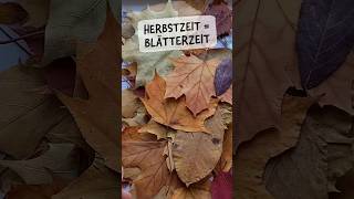 HerbstBlätterWesenGeschichten 🍁 KreativProjektIdee 🍂 illustration kreativestarthilfe kunst [upl. by Misty]