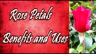 Rose Petals Benefits and Uses [upl. by Quinlan]