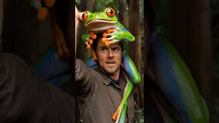 Up Close with a Giant RedEyed Tree Frog 🌿🐸 nature [upl. by Kerri]