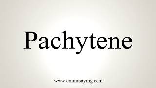 How To Pronounce Pachytene [upl. by Sirehc]