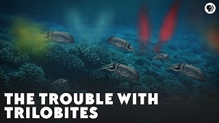 The Trouble With Trilobites [upl. by Athena279]