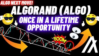 This Is Once in a Lifetime Opportunity By Algorand ALGO Crypto Coin [upl. by Damon]