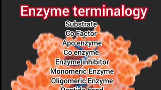 Enzyme Terminalogy [upl. by Aiblis]