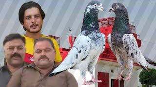 Ustad Chaudhry Adil Party Rawalpindi Ustad Afraz Kayani Raja Israr Kayaniki chat se pigeons shoq [upl. by Asilehs832]