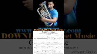 Smoothest Tone 🍏Flugelhorn or 🍊Euphonium dvorak goinghome euphonium flugelhorn comparison [upl. by Toomin569]