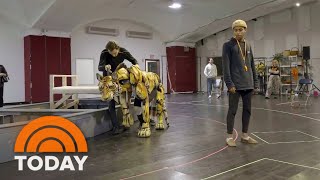 Go behind the scenes of the puppetry of Broadways ‘Life of Pi’ [upl. by Anhsirk]