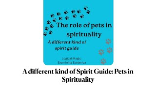 The role of pets in spirituality A different kind of spirit guide [upl. by Redford]