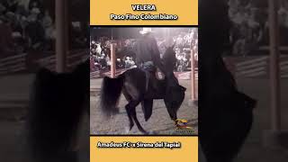 VELERA LA CEJA 2003 [upl. by Onfre443]