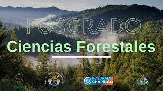 Requisitos para cursar el Posgrado en Ciencias en Ciencias Forestales Chapingo [upl. by Erual192]