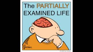 Partially Examined Life podcast  Quine  Two Dogmas of Empiricism [upl. by Adnohsel]